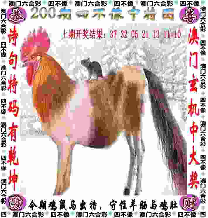 7大板块30余项赛事活动！9月初，青岛再迎海洋体育盛会